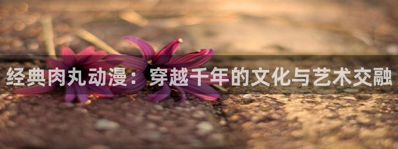 橘子动漫官网