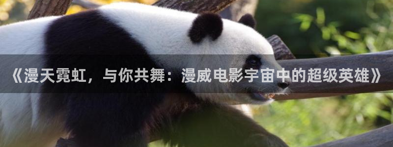 橘子动漫app怎么下载：《漫天霓虹，与你共舞：漫威电影宇宙中的超级英雄》